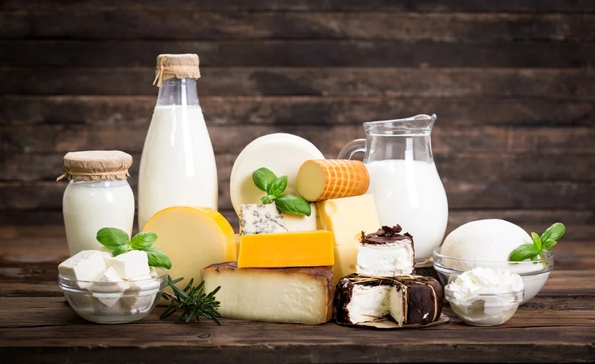 dairy-products